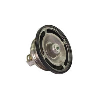 Термостат RVI