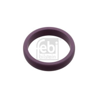 Кільце ущільнююче RVI (Febi)
