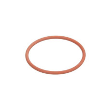 Кільце ущільнююче форсунки DAF XF105 XF95 (Delphi)